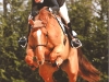 Nebraska Semilly
