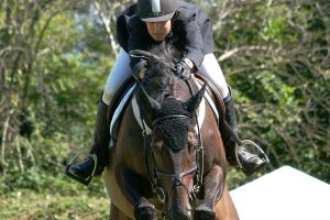 SCUDERIA ALLEVAMENTO CAVALLI NOVARA